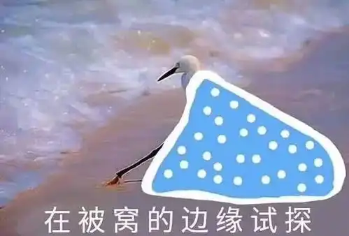 又一吓人技术荣耀v20明天揭晓vivonex双屏跑分出炉差强人意
