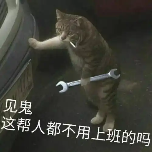上海七夕夜,某超市门口阿姨爷叔倾巢出动,情绪激动
