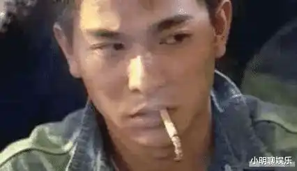 4种境界的抽烟刘德华烟灰不掉,王宝强的没5年烟龄学不会
