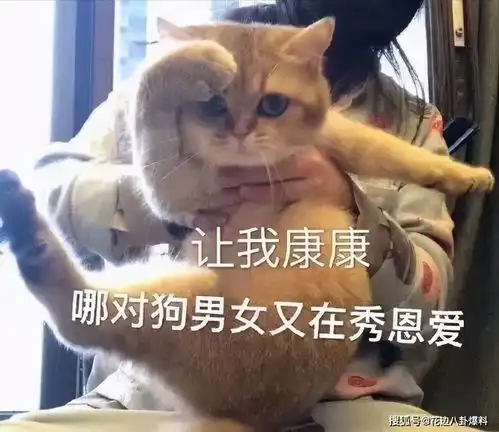 白英传上花心滥情报复心强横刀夺爱下情降的当红女星