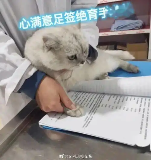 福建人不怎么追星的原因....这也太真实了吧
