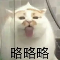 我的表情包去世了
