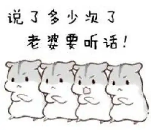 哄老婆表情包大全老婆大人对不起好喜欢老婆我老婆超级可爱
