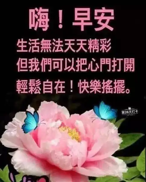 不用打字就可以聊天的图片
