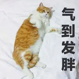 日系开架眼影百元内能剁手的大牌质感眼影盘
