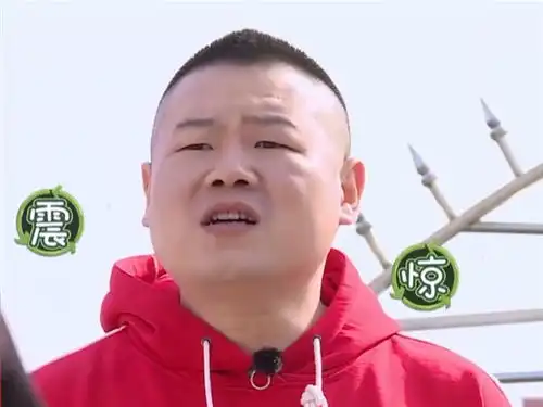 极限挑战雷佳音和小猪结盟秒变卦,谁注意到小岳岳的表情
