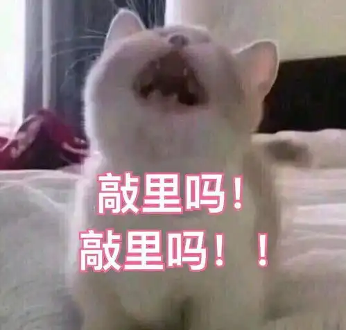 除了谈恋爱,干什么会让你真心觉得有趣开心有满足感

