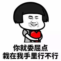 我的男朋友,是用表情包撩来的

