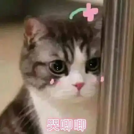 三步教你传输高清无损视频
