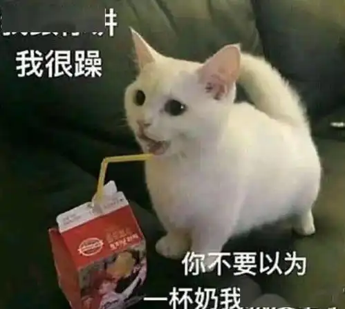 公司设立登记
