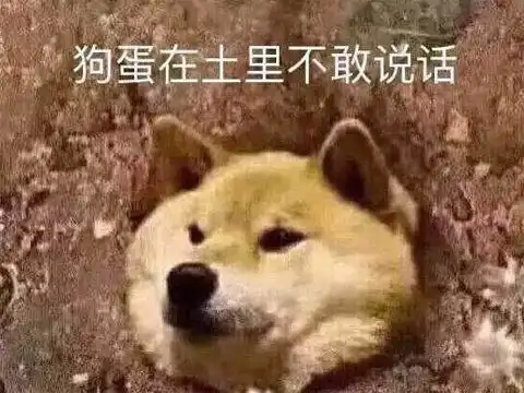 堡垒前线破坏与创造怎么样网易低配版堡垒之夜登顶苹果商店乐单机
