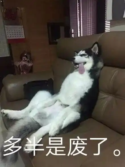 未来两天气温稳定,风力较大
