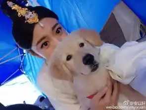 37岁安以轩要结婚错过李承铉汪小菲,却嫁给百亿富豪

