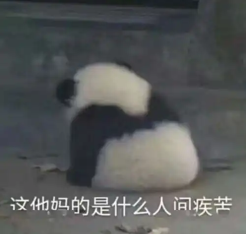 钱枫,你怎么又胖到200斤了
