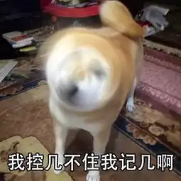 男人们,陪老婆逛街一定要记住这一条铁律
