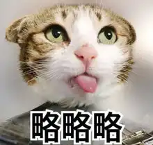 爆笑段子我不嫌你胖,要不咱俩处呗
