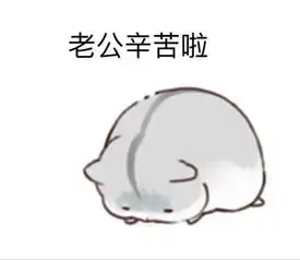 仓鼠表情包日常卖萌
