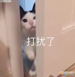 你又背着我偷吃屎表情包无情浇灭我所有热情表情包下载乐游网游戏下载
