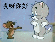 猫和老鼠沙雕表情包不服你顺着网线来打我啊
