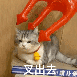 王思聪孙一宁表情包大合集
