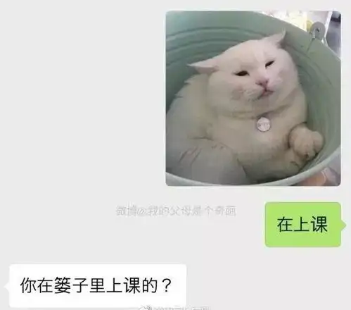 冷空气周末来袭朋友圈被这条消息刷爆了与每个云浮人有关
