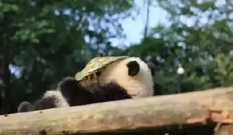 朱红之泪小姐姐财富完爆土著
