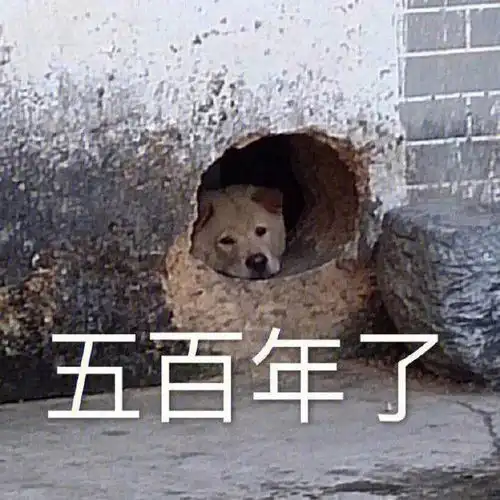 笑话十条啥日子你给我要压岁钱我又不是你妈
