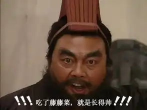 张飞含冤几百年,猛张飞其实......