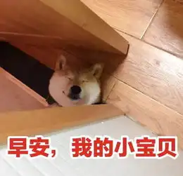 表情包一只叫做芋圆的魔性柴犬
