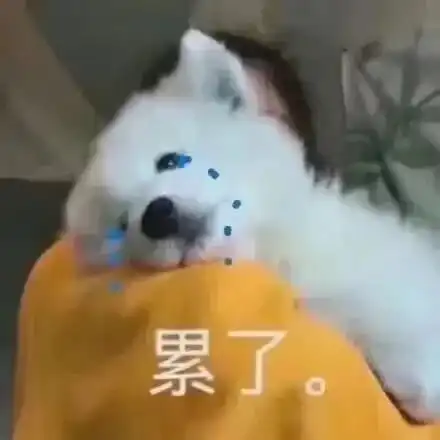 季节进度一键拉回冬天,夏天的脚步近了又远......

