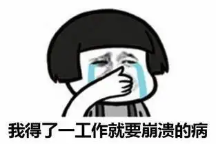 2019个人总结表情包代表我的心
