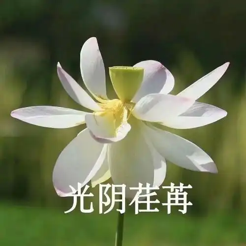 我们一起换下头像,谢谢
