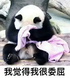 醉美枫叶季
