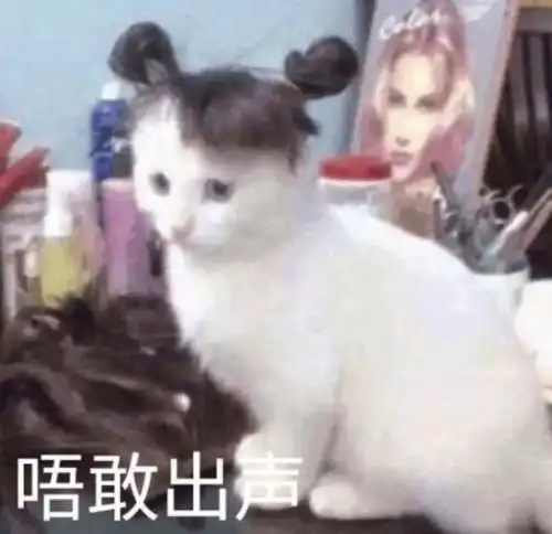 如何看待防弹少年团大站wnsweneedbts此次推特翻译事件

