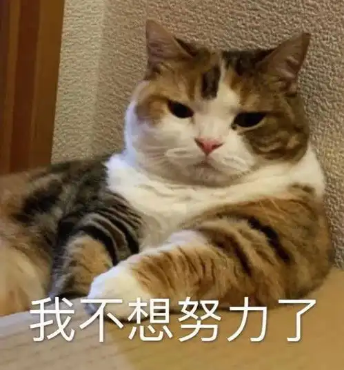 幽默笑话做我女婿,这事就算了,如果不行赔我一千块
