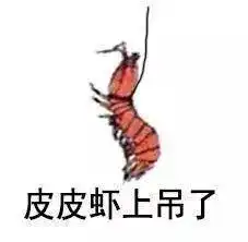 驴小玩美食记你与皮皮虾的距离,只隔了一个威海
