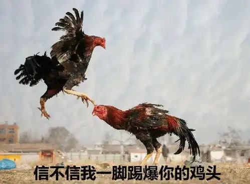 图说年假将尽,鸡年大吉了吗
