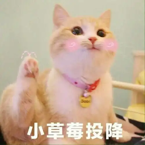 超萌表情包σω
