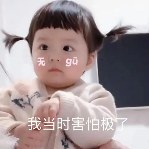 表情包干啥啥不行臭美第一名
