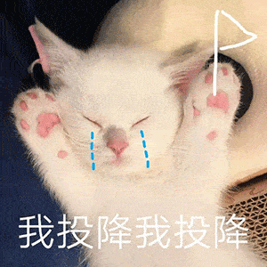 神装秀这帽子就离谱129紫光奶妹实力诠释轻鸿和高抗如何二者兼得
