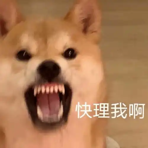 买了件人鱼色网红连衣裙,把试穿照发给男友后...哈哈哈真的太刺激了
