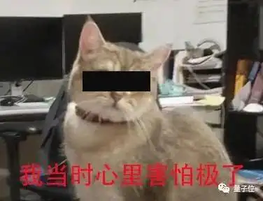 中国女博士的水淹食堂大法单目视频重建3d场景,毫无违和感

