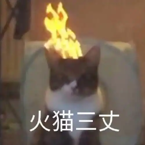 腾讯新闻
