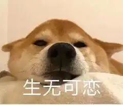 养生壶里泡枸杞,燃烧你的卡路里
