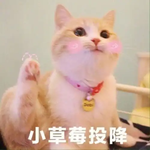 表情包拿取图片
