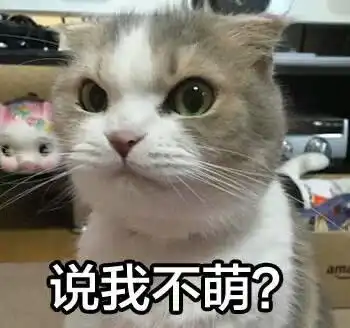 萌猫表情包
