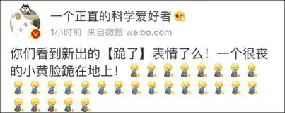 给跪了微博新出的表情包要火搜狐搞笑搜狐网
