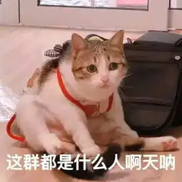 表情包你走把我妈不让我跟傻子玩
