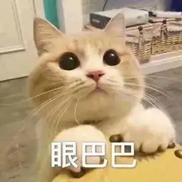 可爱猫猫的表情包合集咋回事呢,小老弟
