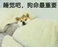 假期自救指南如何度过一个不被爸妈嫌弃的十一